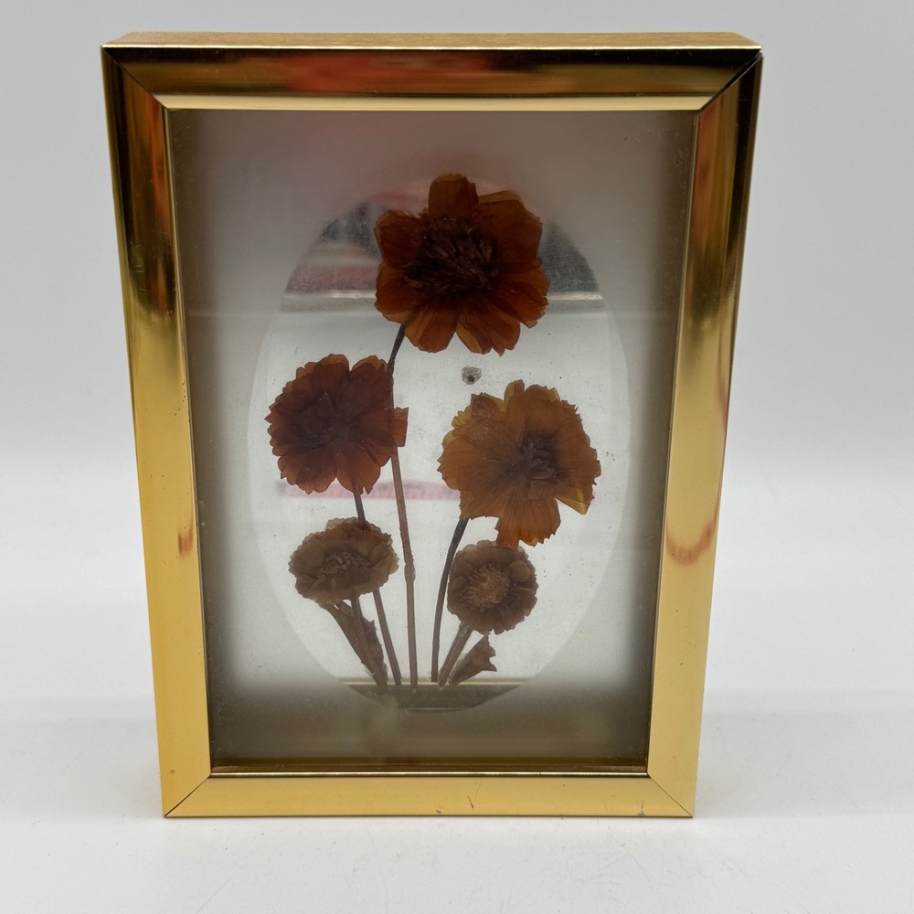 Vintage Mirrored Dried Flower Shadow Box Frame Brass Glass Boho Cottagecore 7x5